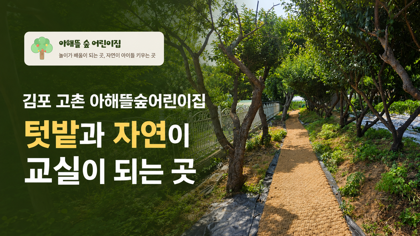 김포 고촌 아해뜰숲어린이집 텃밭과 자연이 교실이 되는 곳